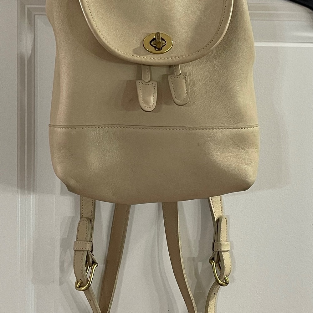 Coach pocketbook(mini backpack)